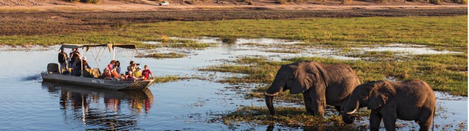 Wildlife viewing in Chobe -  Photo: Peter Walton