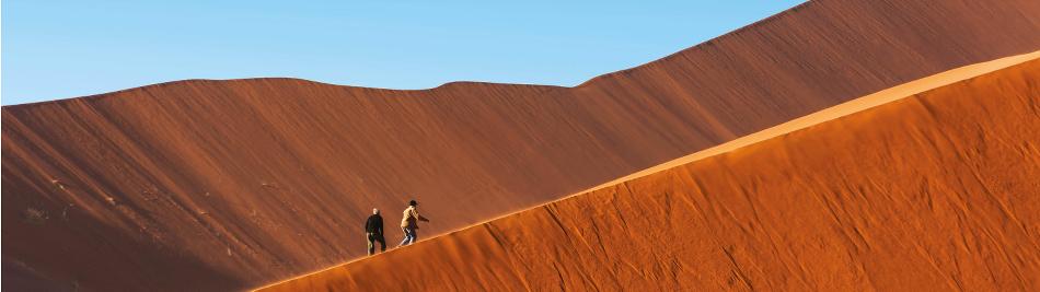 Rolling hills in the heart of the Namib Desert -  Photo: Peter Walton