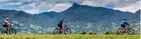 Enjoying the ride on the 'Vietnam by Bike' trip -  Photo: Richard I'Anson