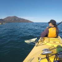 Kayaking on Coles Bay, with the Hazards in the distance |  <i>Brad Atwal</i>