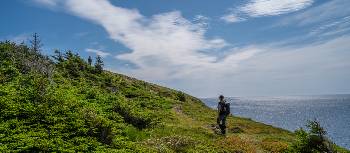 Hiking Newfoundland's Atlantic coast | Sherry Ott